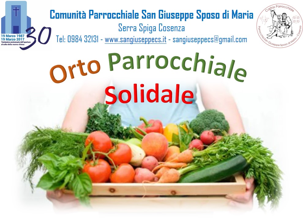 OrtoSol1